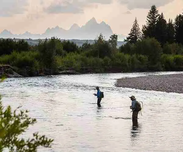 Two anglers fly fishing in a river with the Teton mountains in the background, surrounded by lush greenery, representing guided fly fishing experiences in Jackson Hole, Wyoming.